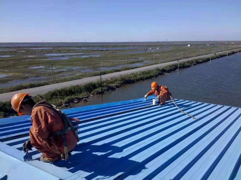 川汇钢结构屋面漏水原因